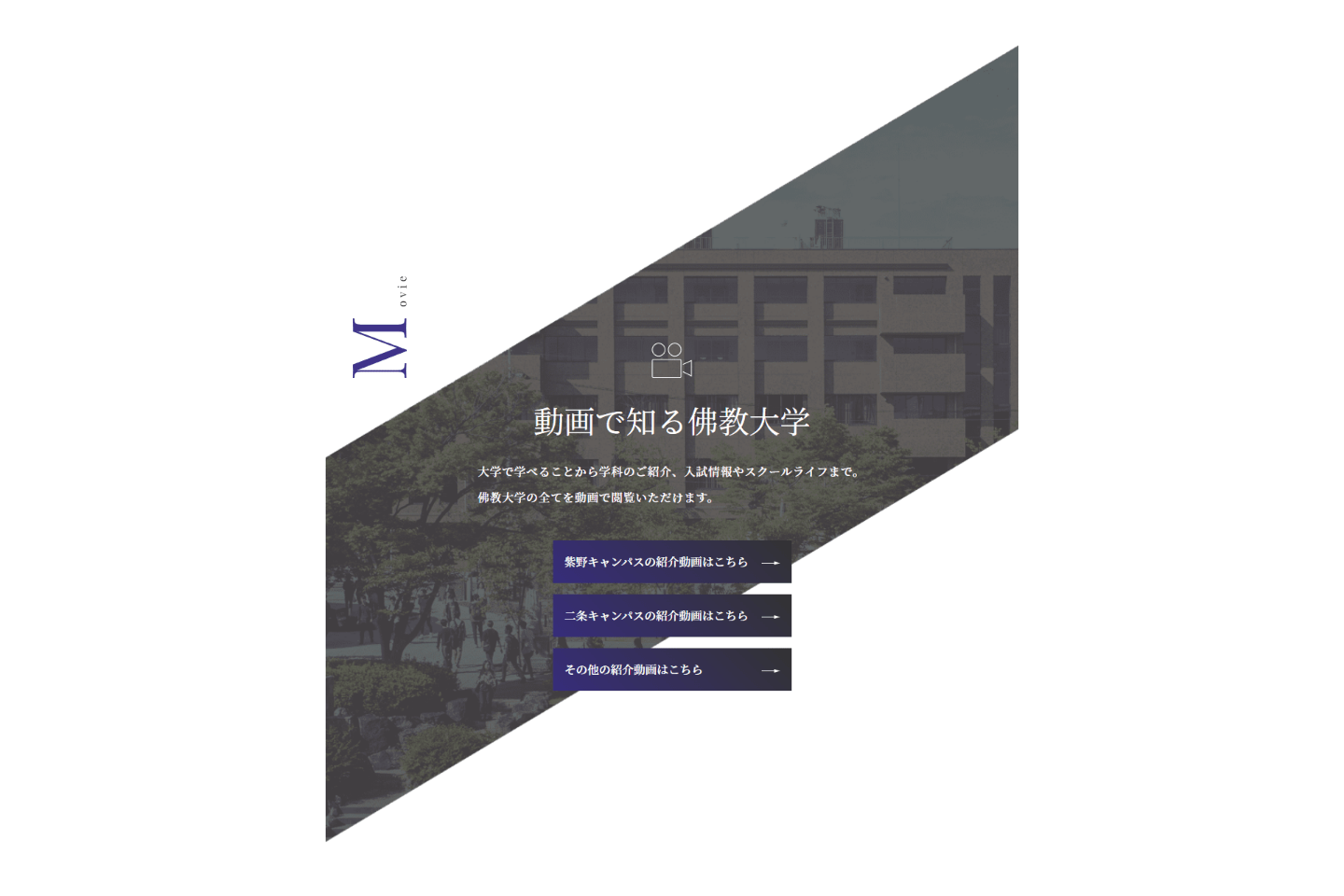 解決策と結果イメージ2